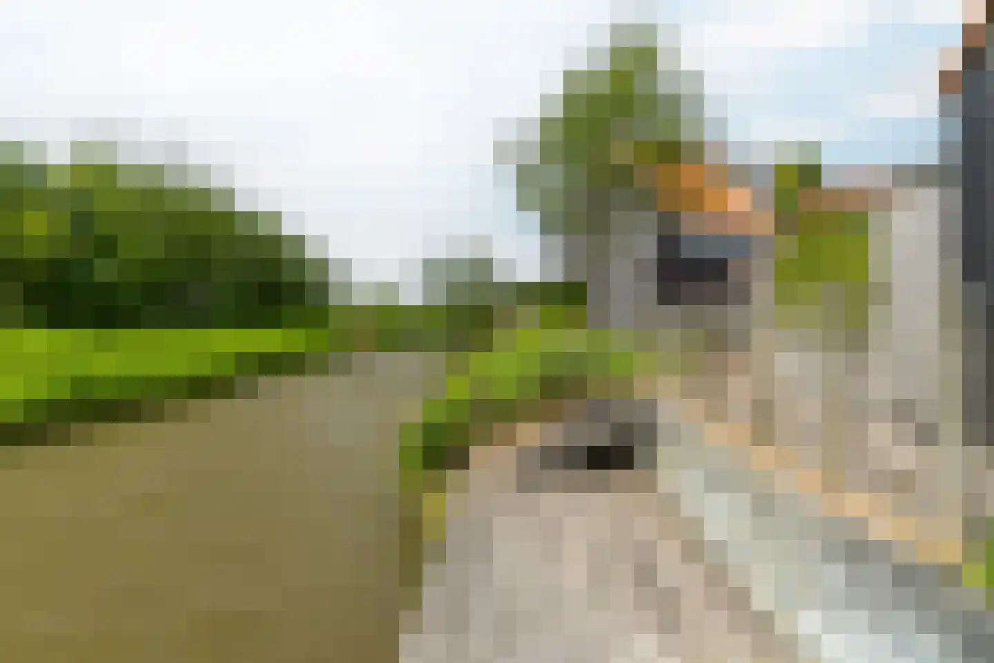 Skuorre 10 Leeuwarden thumbnail 41