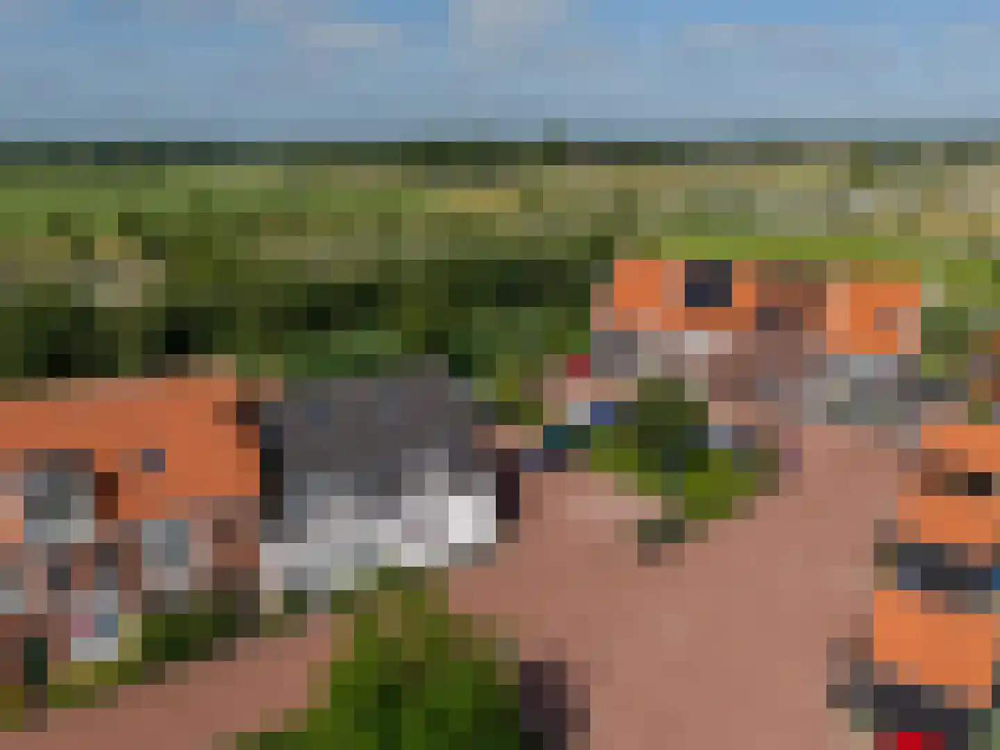 Skuorre 10 Leeuwarden thumbnail 48