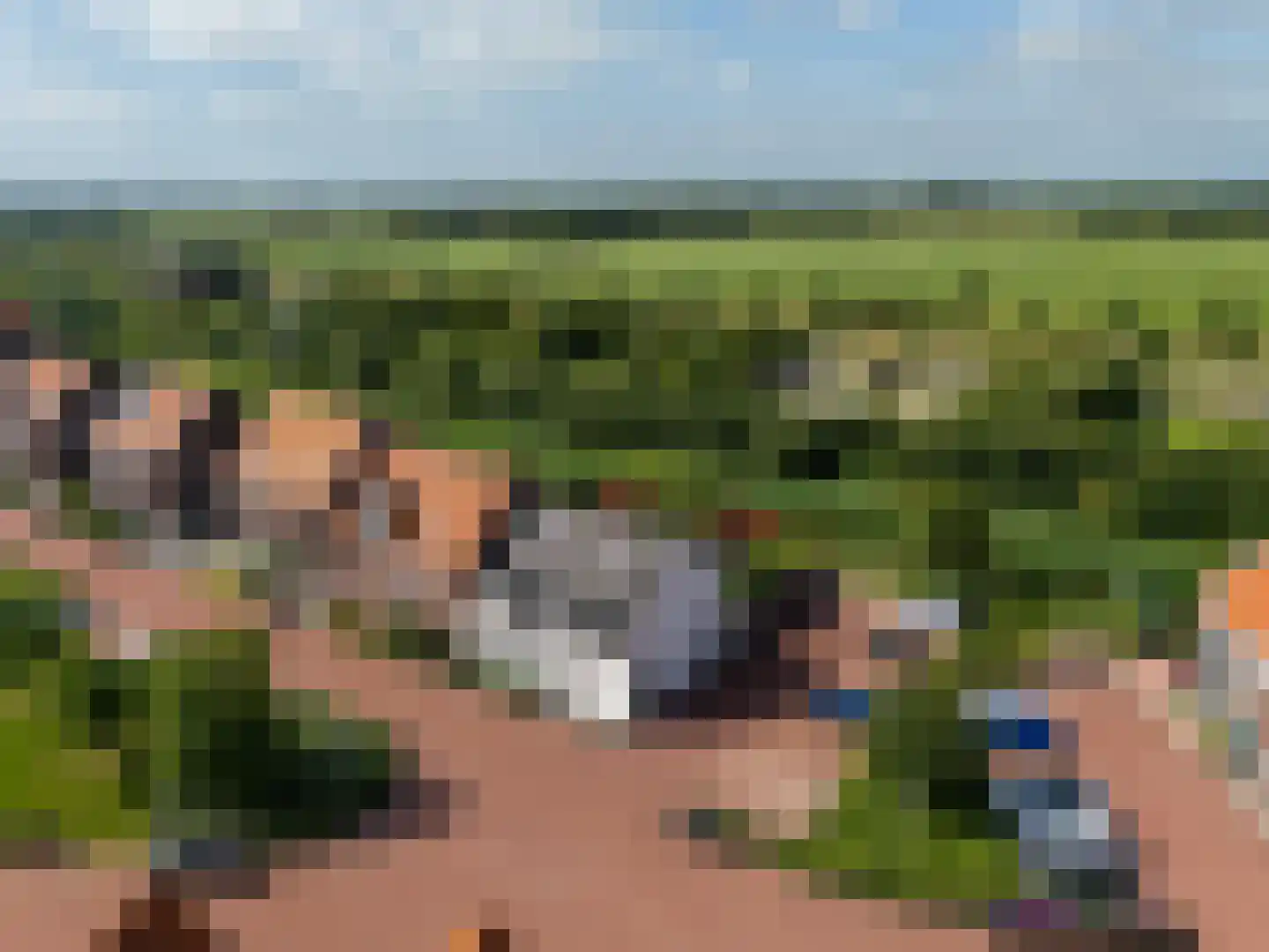 Skuorre 10 Leeuwarden thumbnail 7