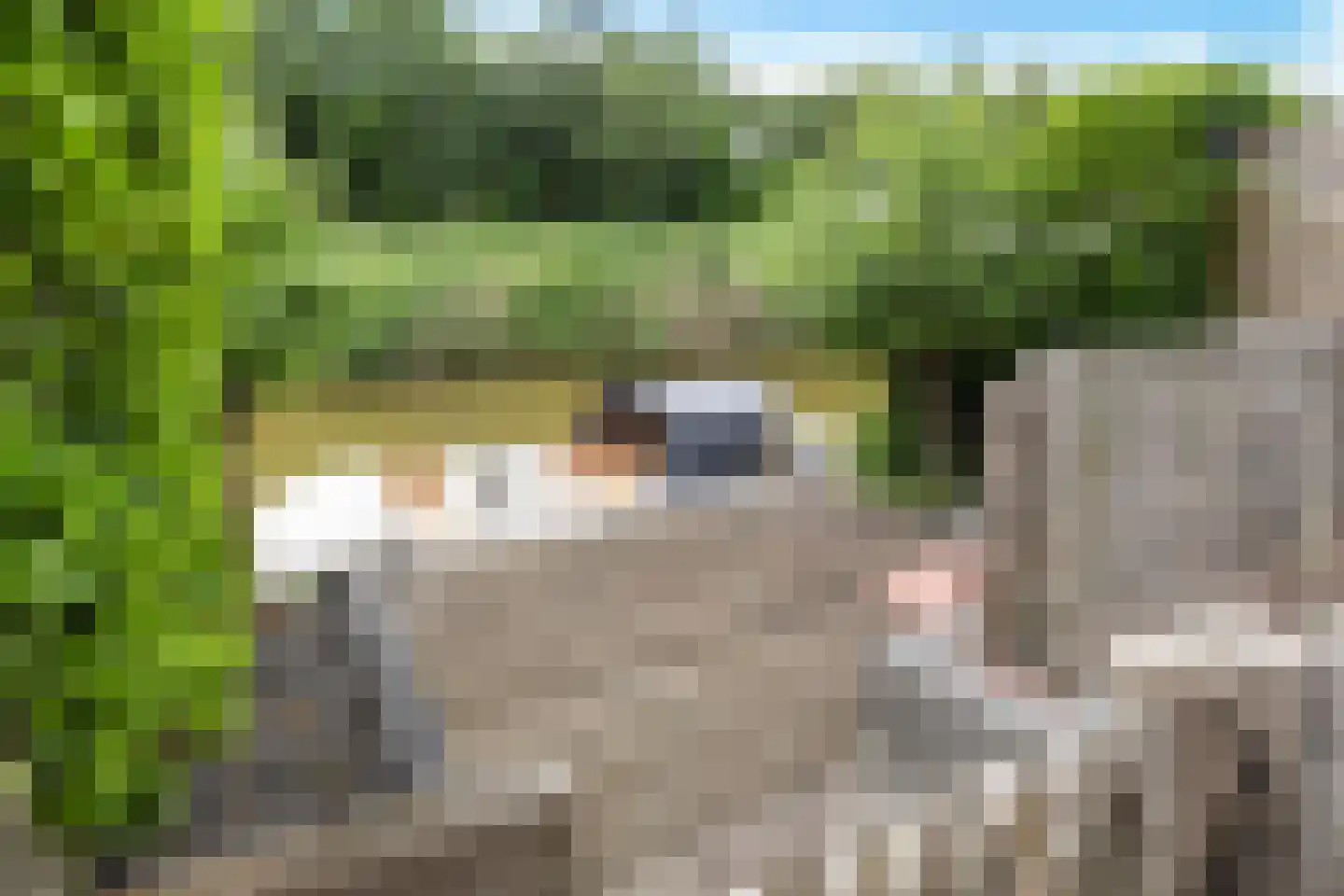 Skuorre 16 Leeuwarden thumbnail 15