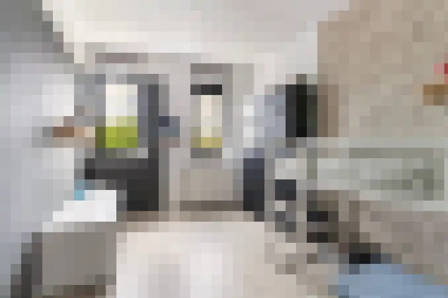 Skuorre 16 Leeuwarden thumbnail 31