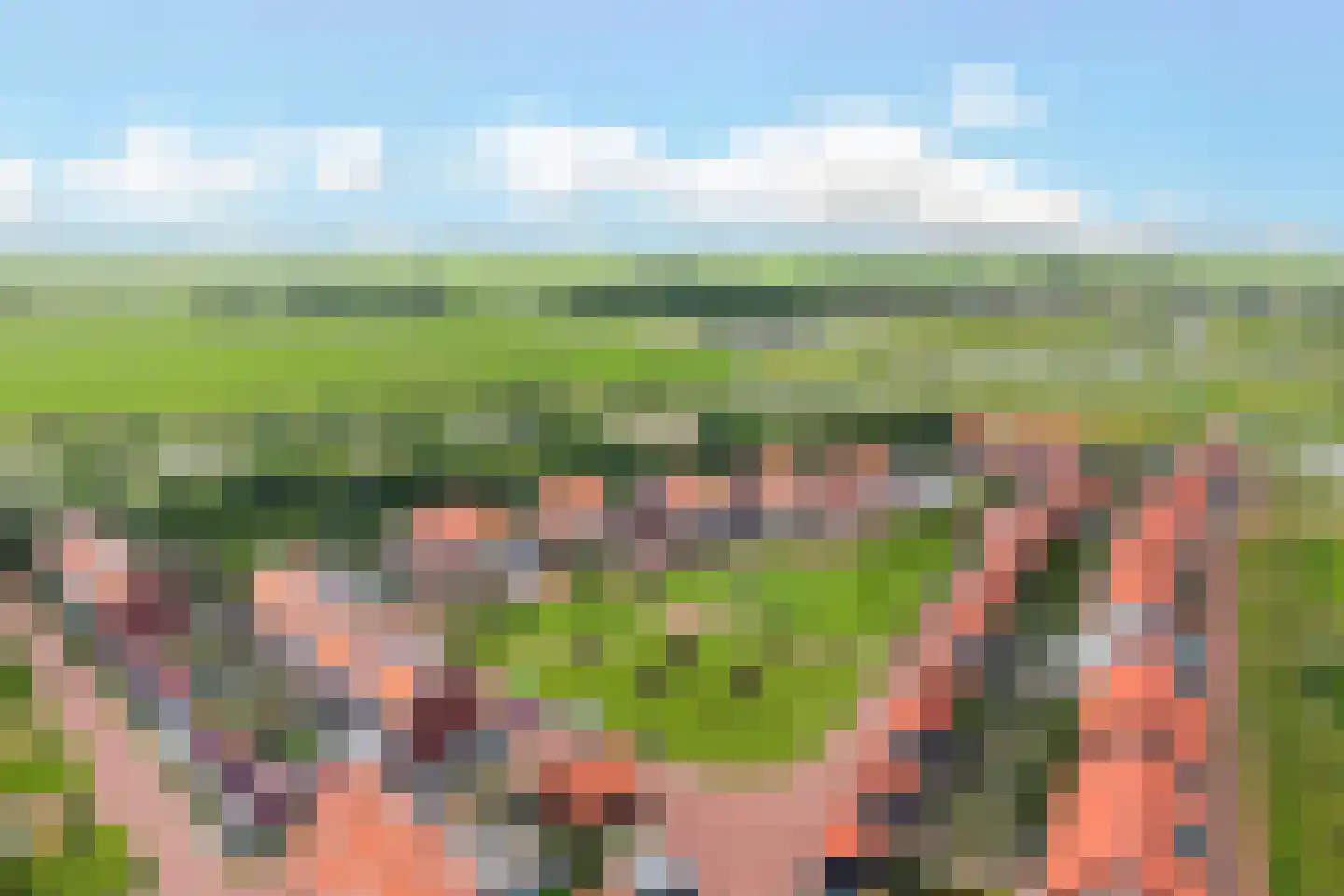 Skuorre 16 Leeuwarden thumbnail 45