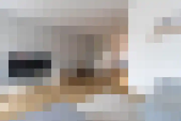 Skuorre 18 Leeuwarden thumbnail 10