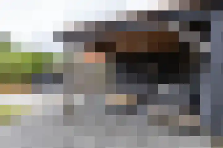 Skuorre 18 Leeuwarden thumbnail 43