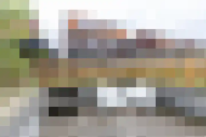 Skuorre 18 Leeuwarden thumbnail 47