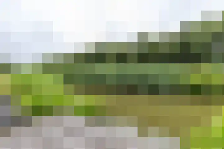 Skuorre 18 Leeuwarden thumbnail 48