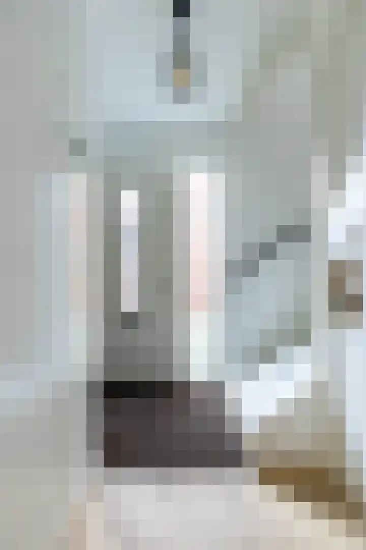 Skuorre 18 Leeuwarden thumbnail 5