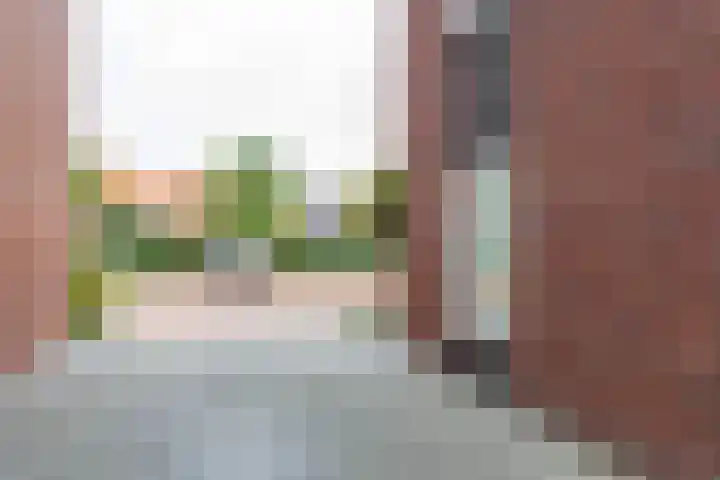 Skuorre 18 Leeuwarden thumbnail 52