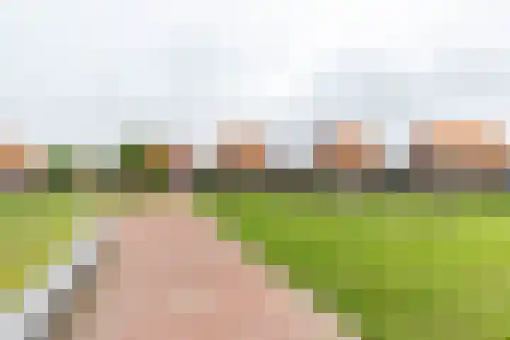 Skuorre 18 Leeuwarden thumbnail 53
