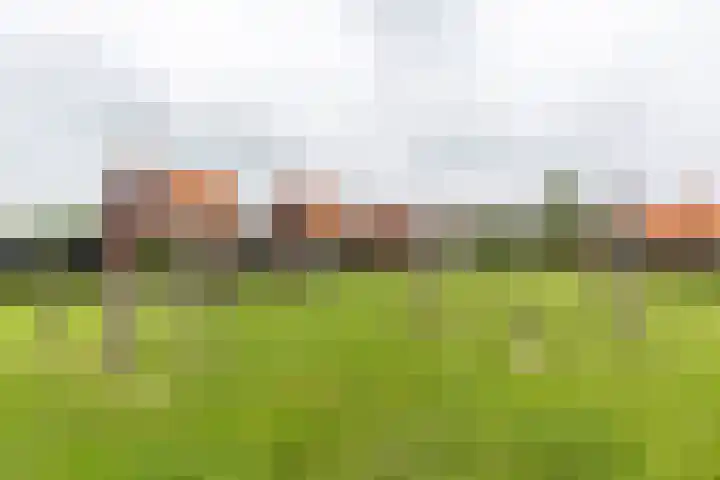 Skuorre 18 Leeuwarden thumbnail 54