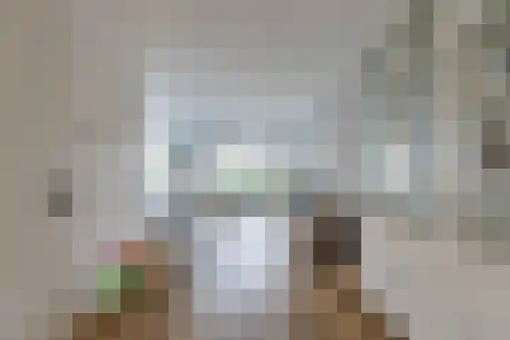 Skuorre 18 Leeuwarden thumbnail 6
