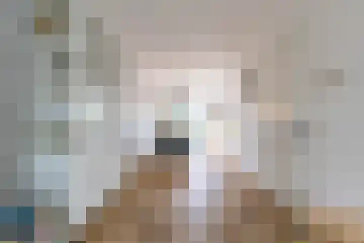 Skuorre 18 Leeuwarden thumbnail 7