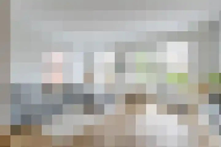 Skuorre 18 Leeuwarden thumbnail 8