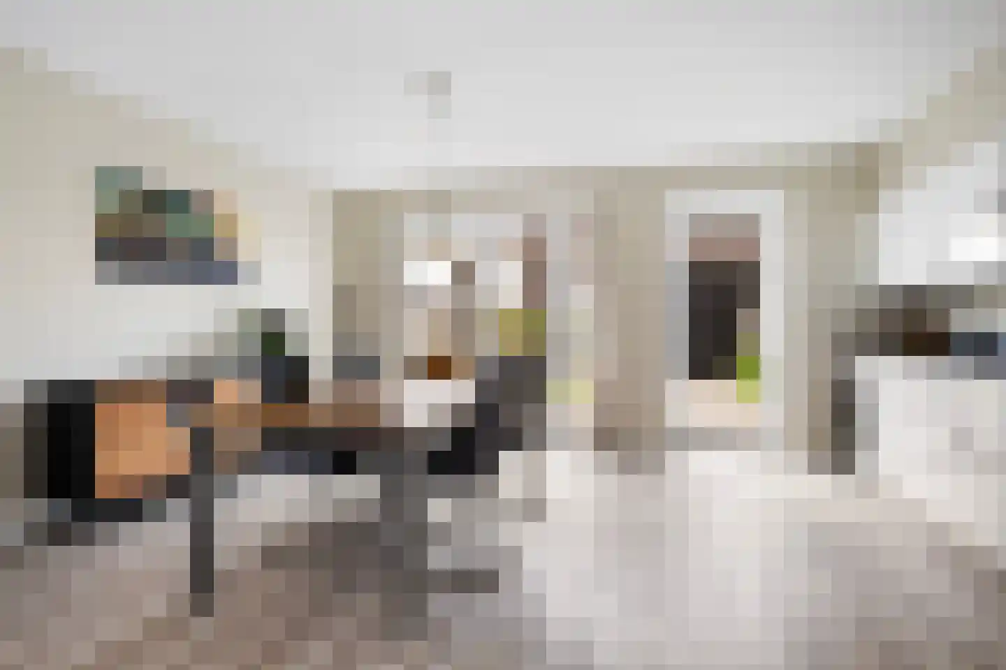 Skuorre 3 a Leeuwarden thumbnail 12