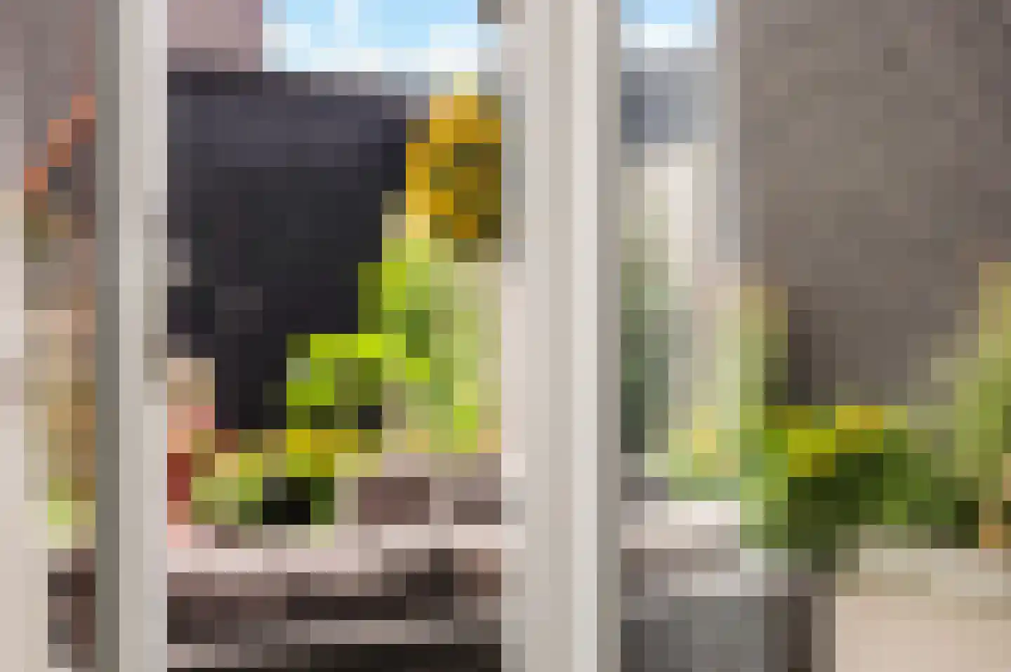 Skuorre 3 a Leeuwarden thumbnail 18