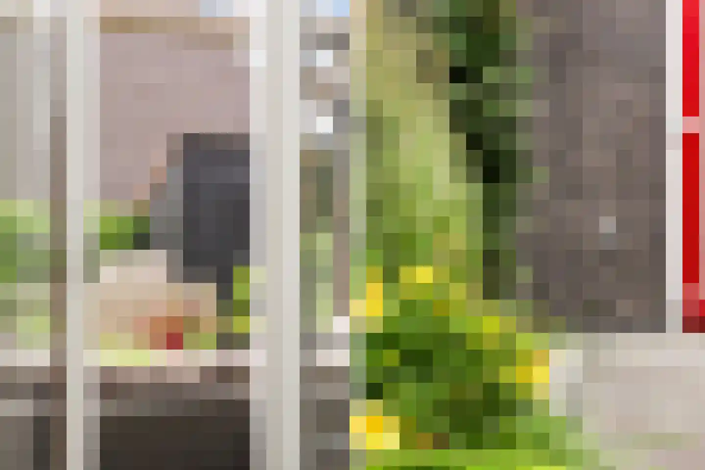 Skuorre 3 a Leeuwarden thumbnail 19