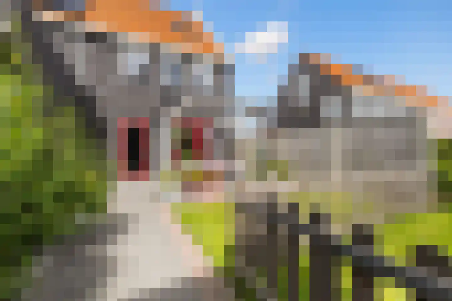 Skuorre 3 a Leeuwarden thumbnail 23