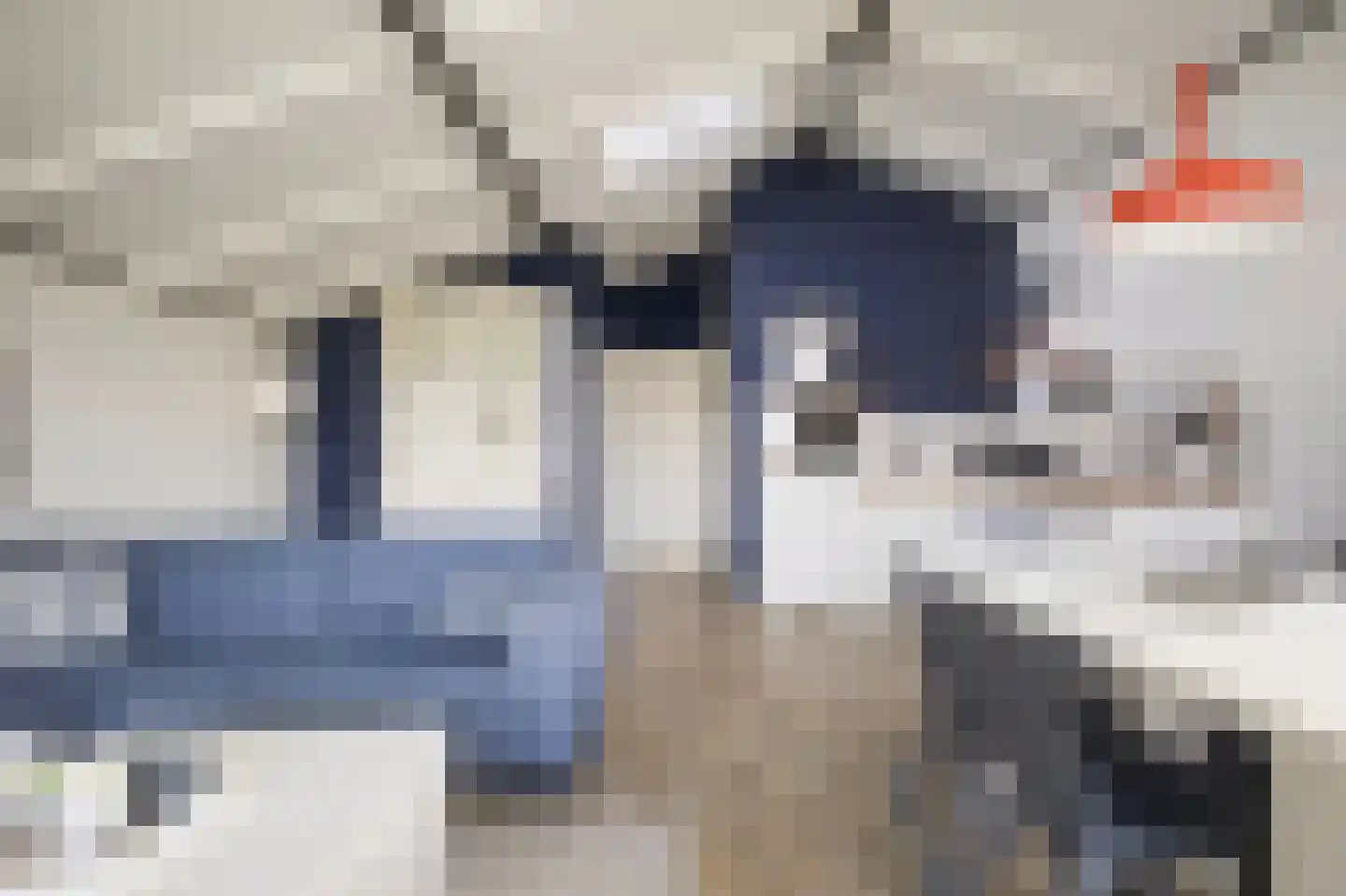 Skûtmakkerspôle 8 T21 Terkaple thumbnail 11