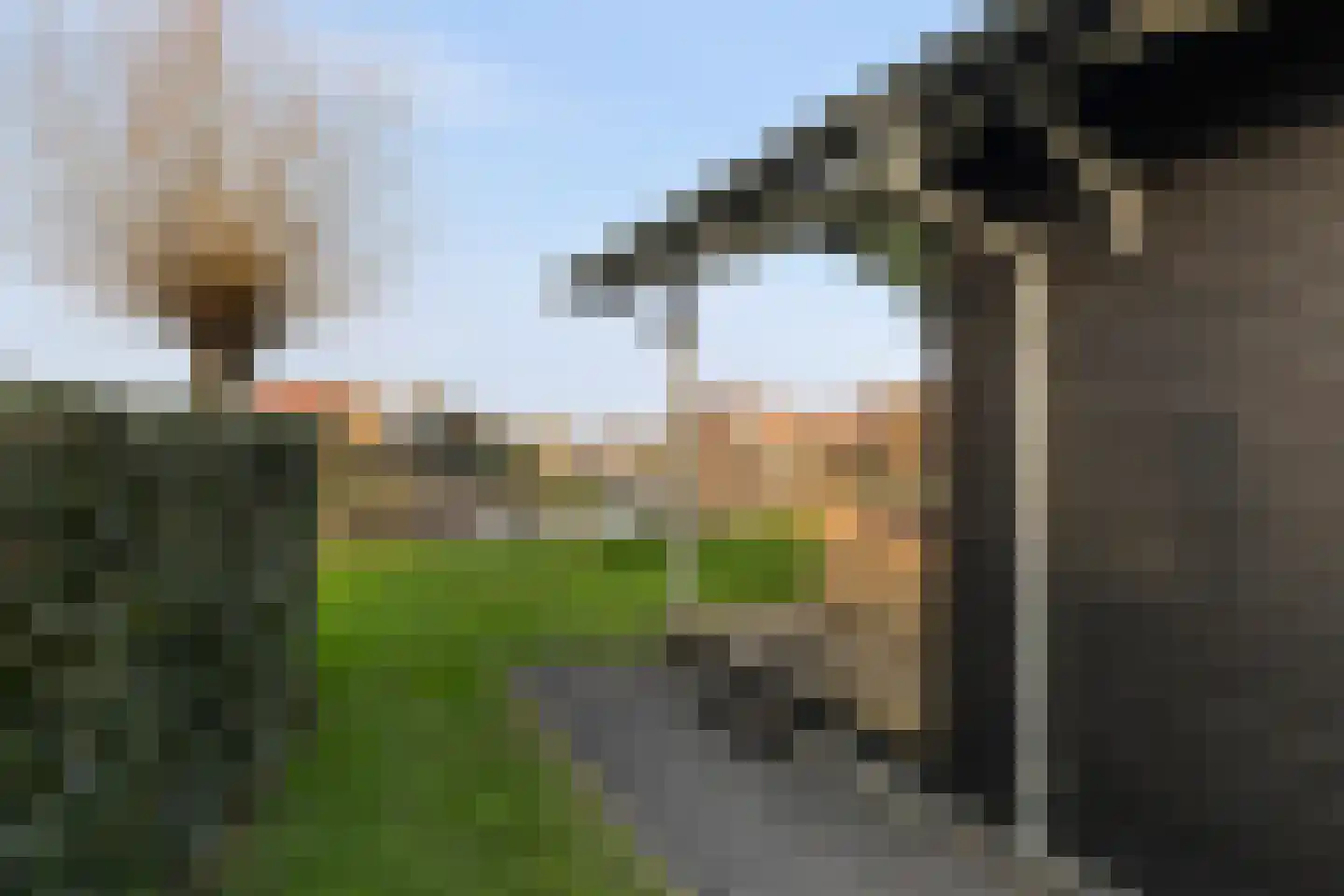Skûtmakkerspôle 8 T21 Terkaple foto 3