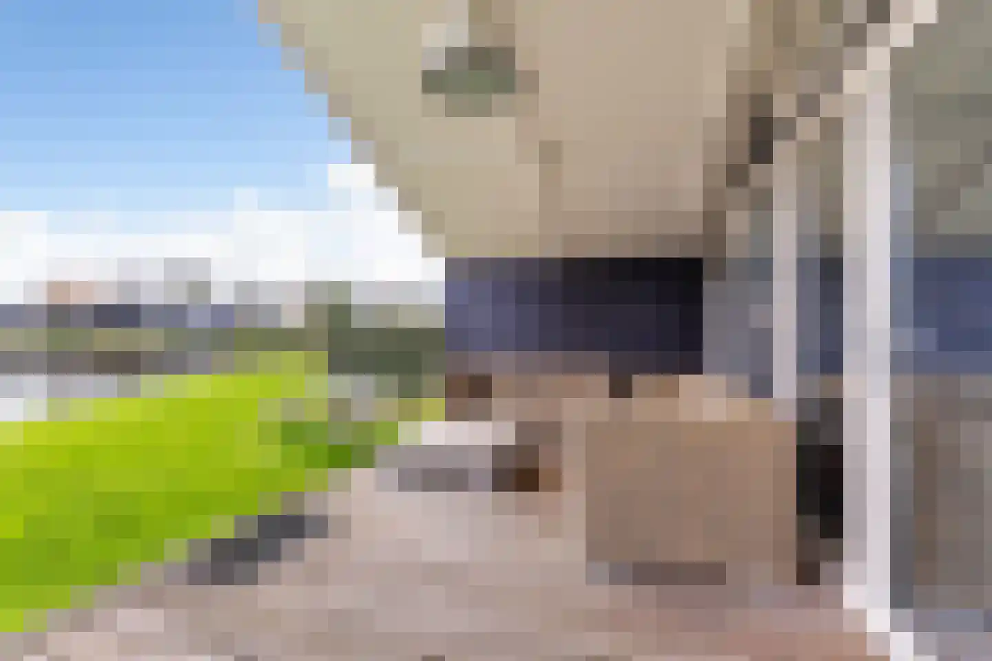 Skûtmakkerspôle 8 T3 Terkaple thumbnail 13