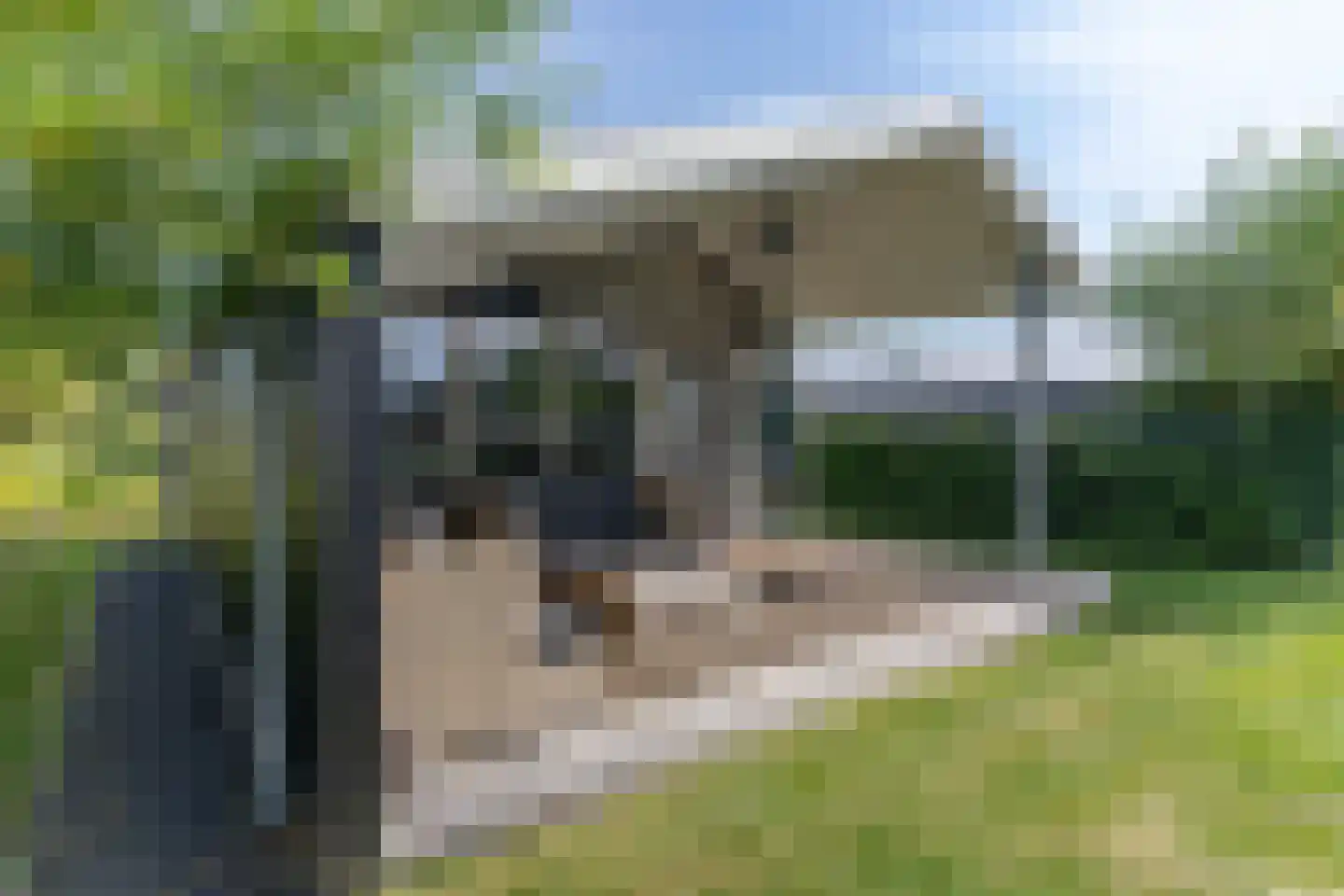 Skûtmakkerspôle 8 T45 Terkaple thumbnail 29