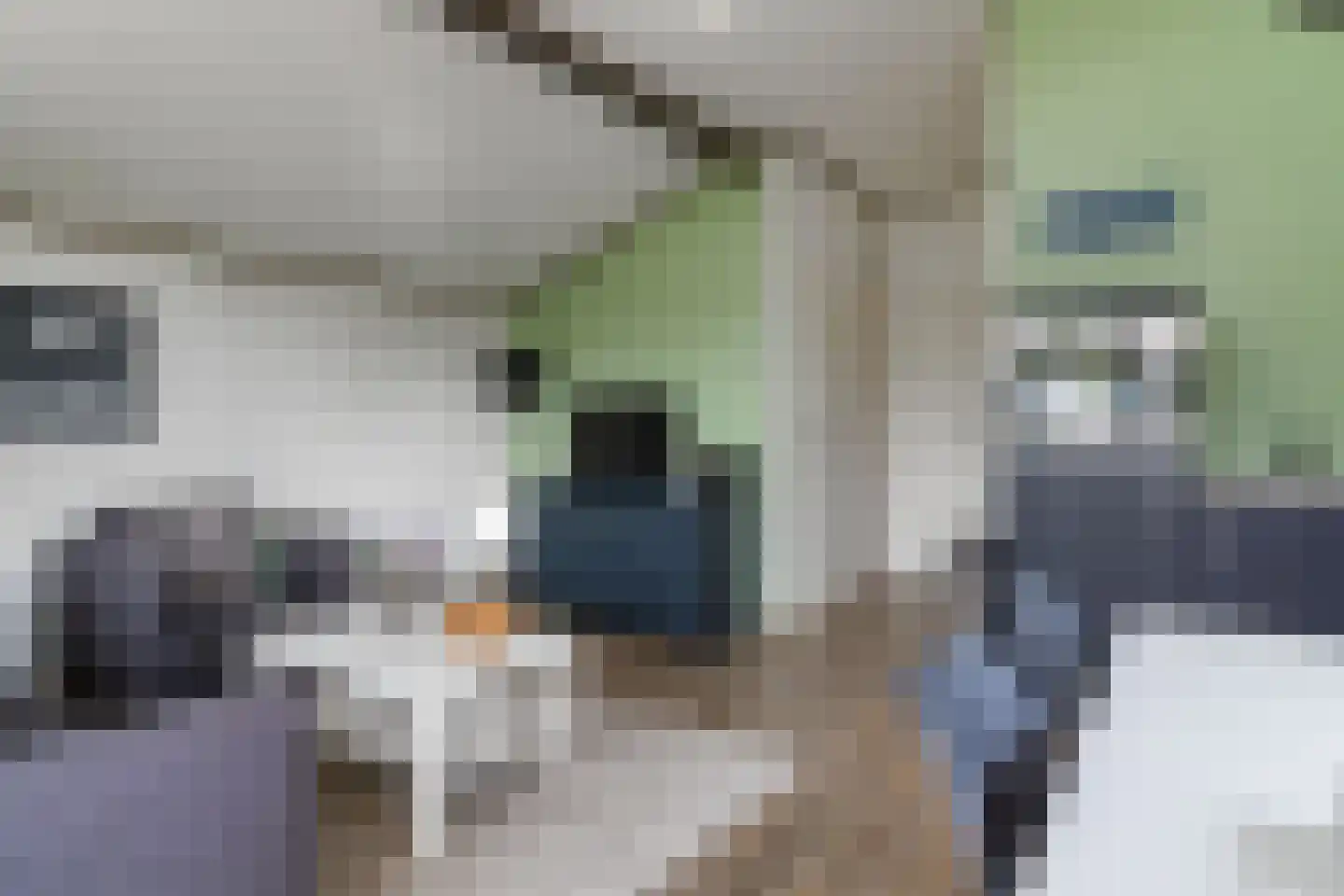Skûtmakkerspôle 8 T45 Terkaple foto 3