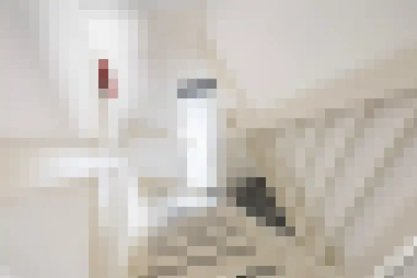 Skûtmakkerspôle 8 W6 Terkaple thumbnail 25