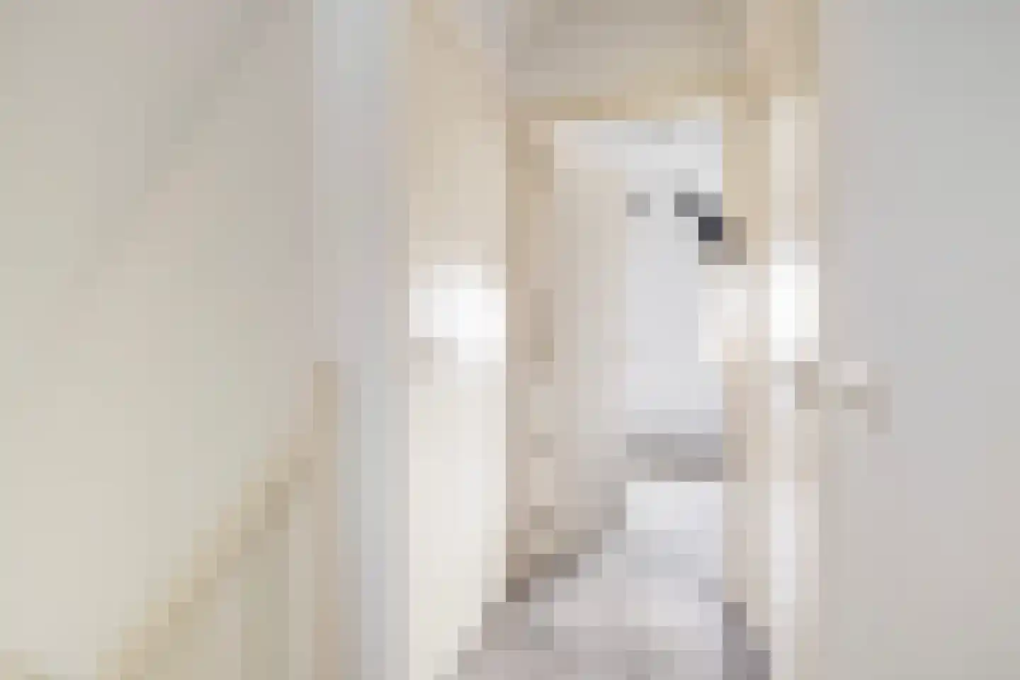 Skûtmakkerspôle 8 W6 Terkaple thumbnail 26