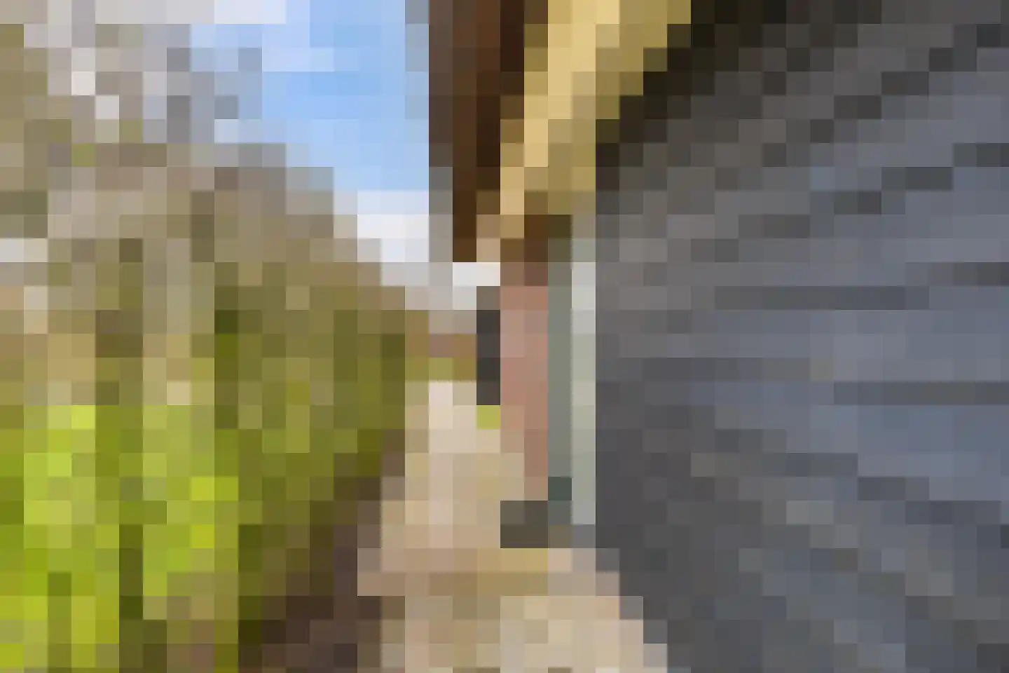 Skûtmakkerspôle 8 W6 Terkaple thumbnail 38