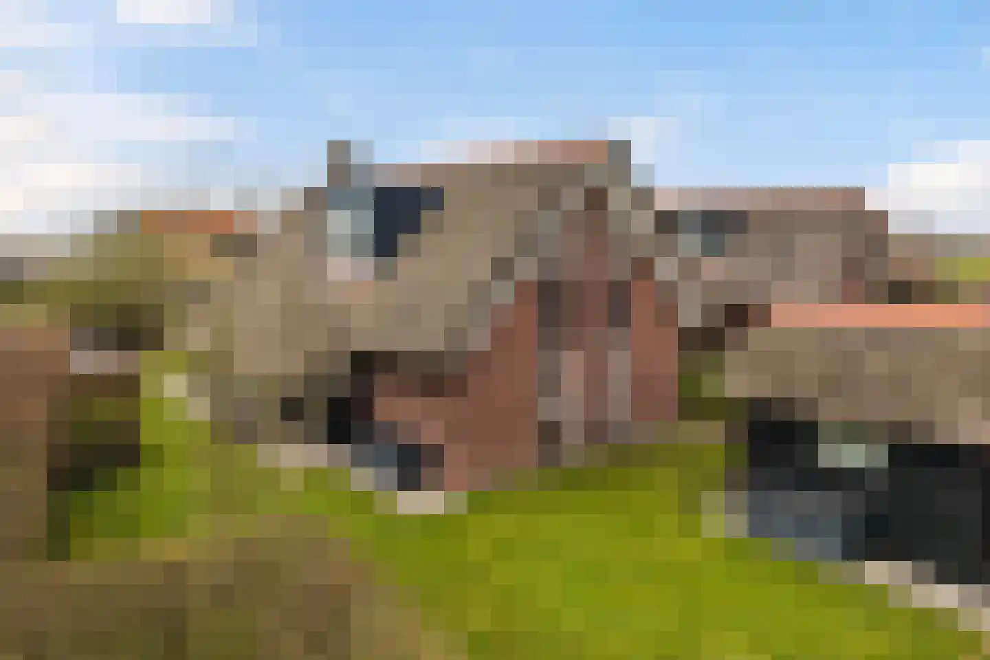 Skûtmakkerspôle 8 W6 Terkaple thumbnail 40