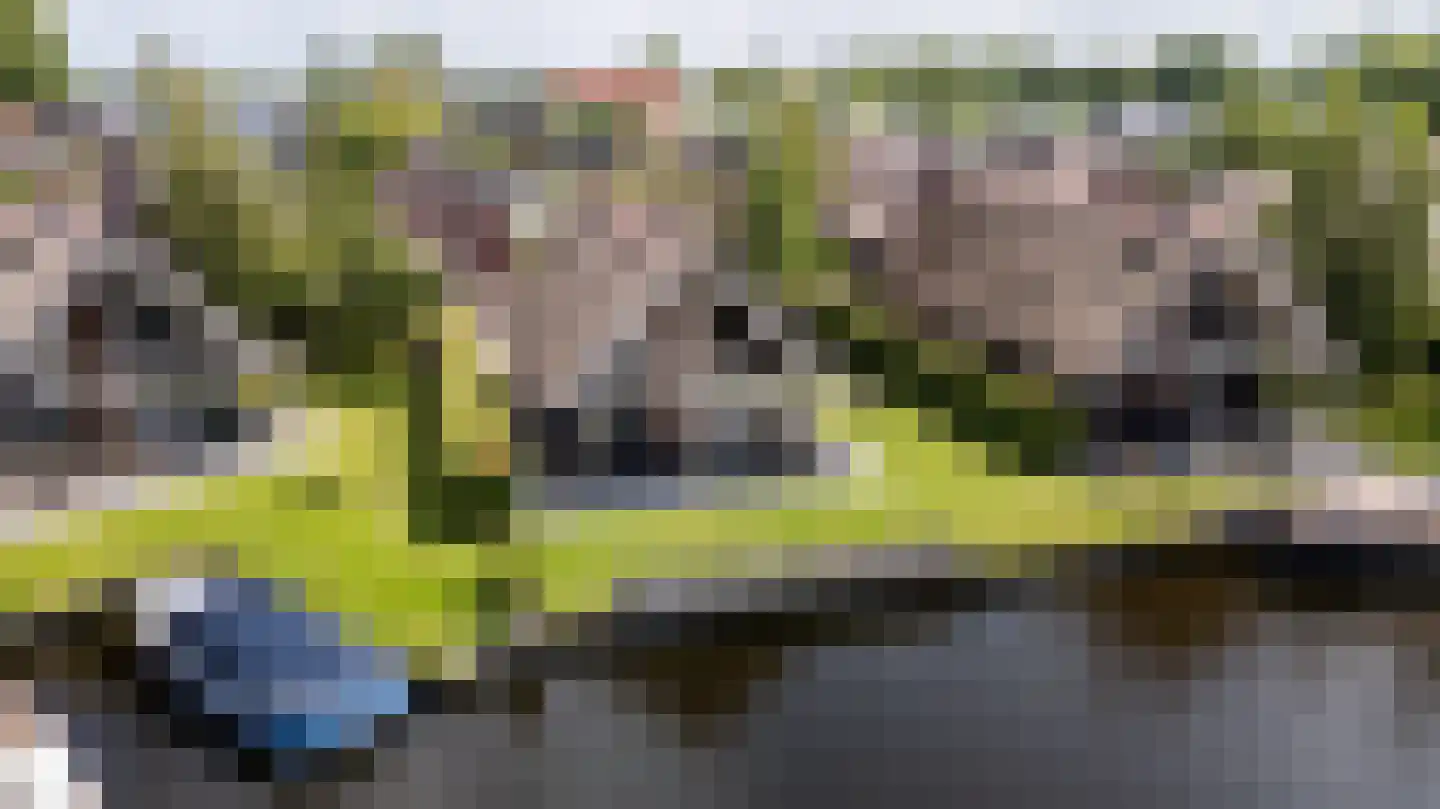 Skûtmakkerspôle 8 W9 en Terkaple