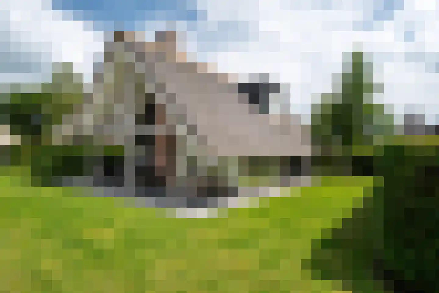 Skûtmakkerspôle 8 W9 Terkaple thumbnail 19