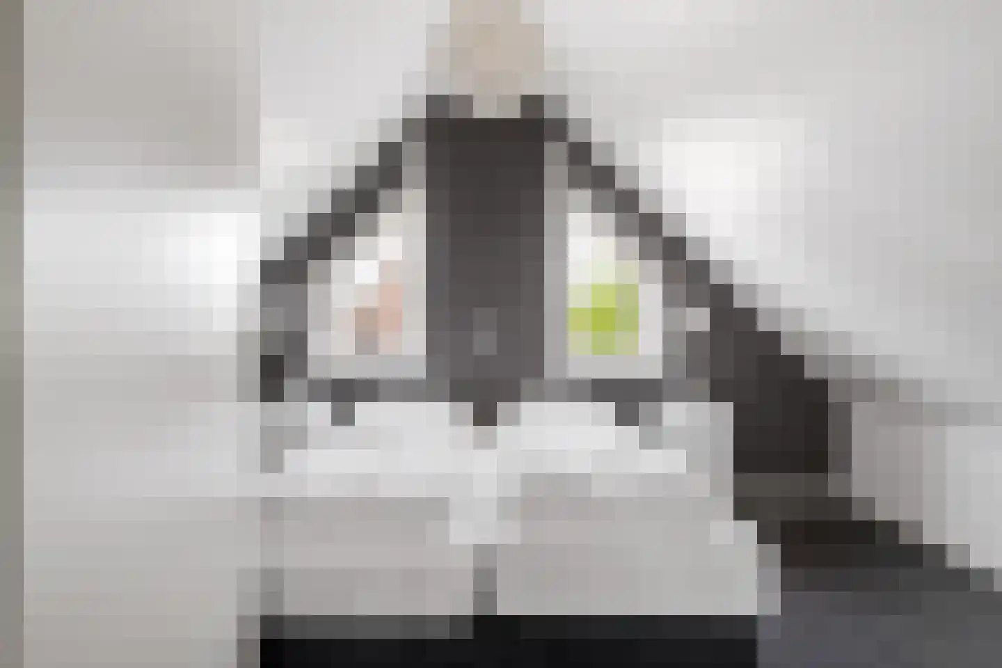 Skûtmakkerspôle 8 W9 Terkaple thumbnail 33