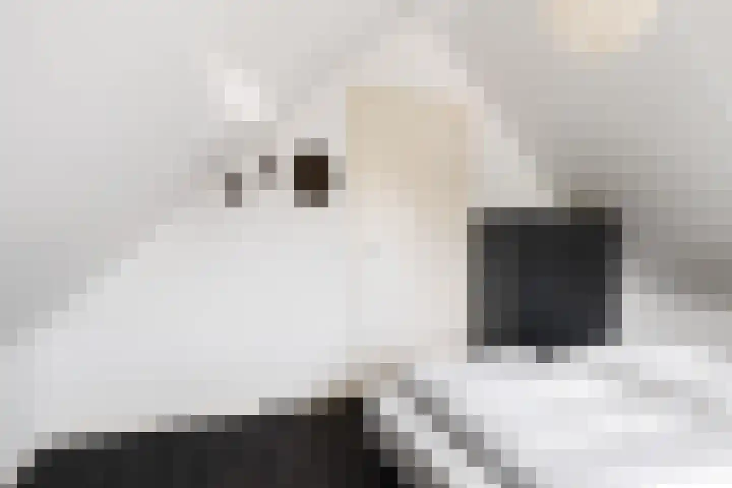 Skûtmakkerspôle 8 W9 Terkaple thumbnail 35