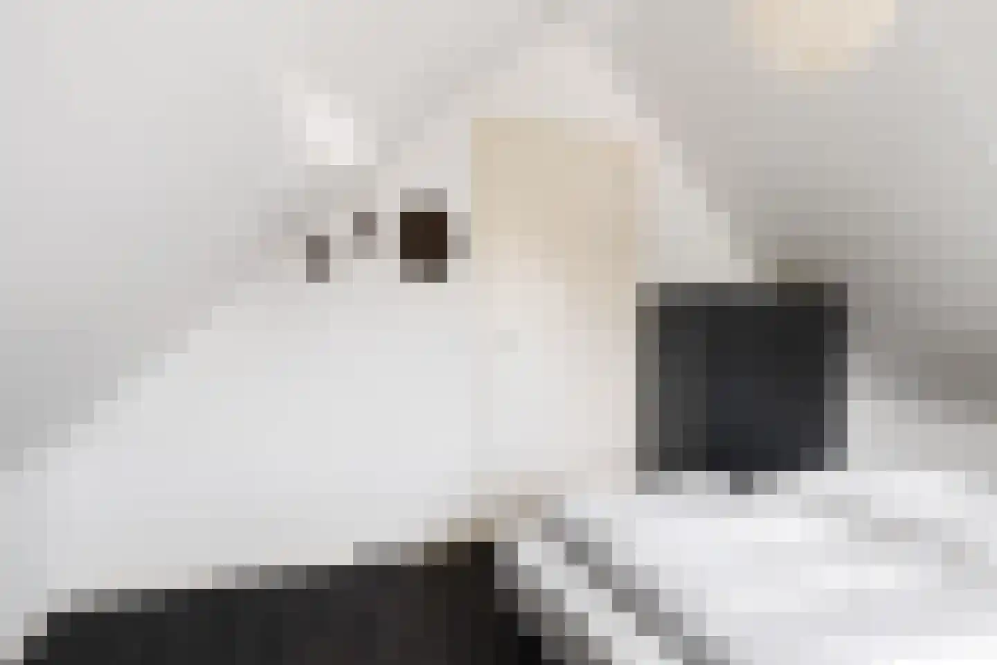 Skûtmakkerspôle 8 W9 Terkaple thumbnail 35