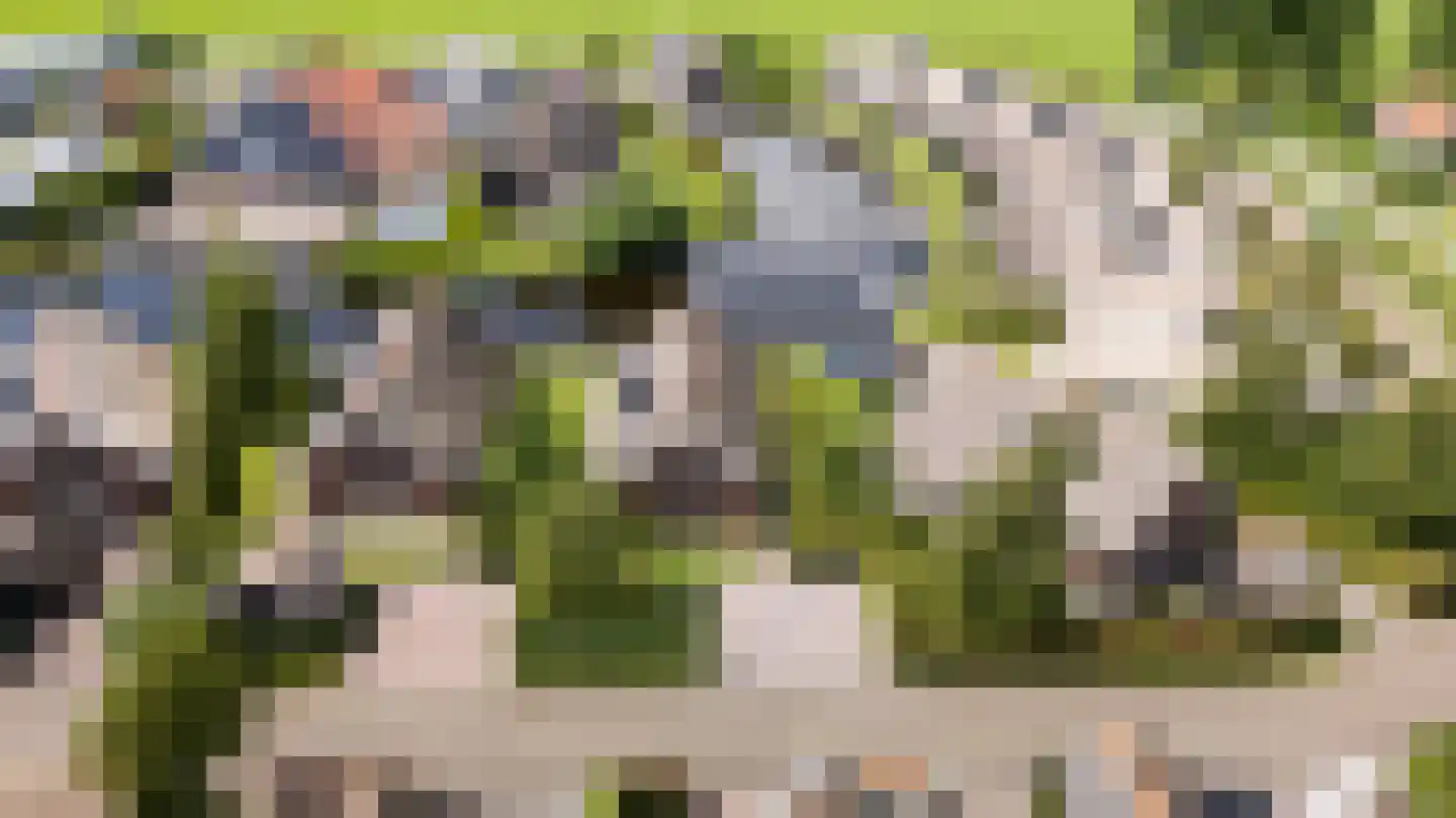 Skûtmakkerspôle 8 W9 Terkaple thumbnail 38