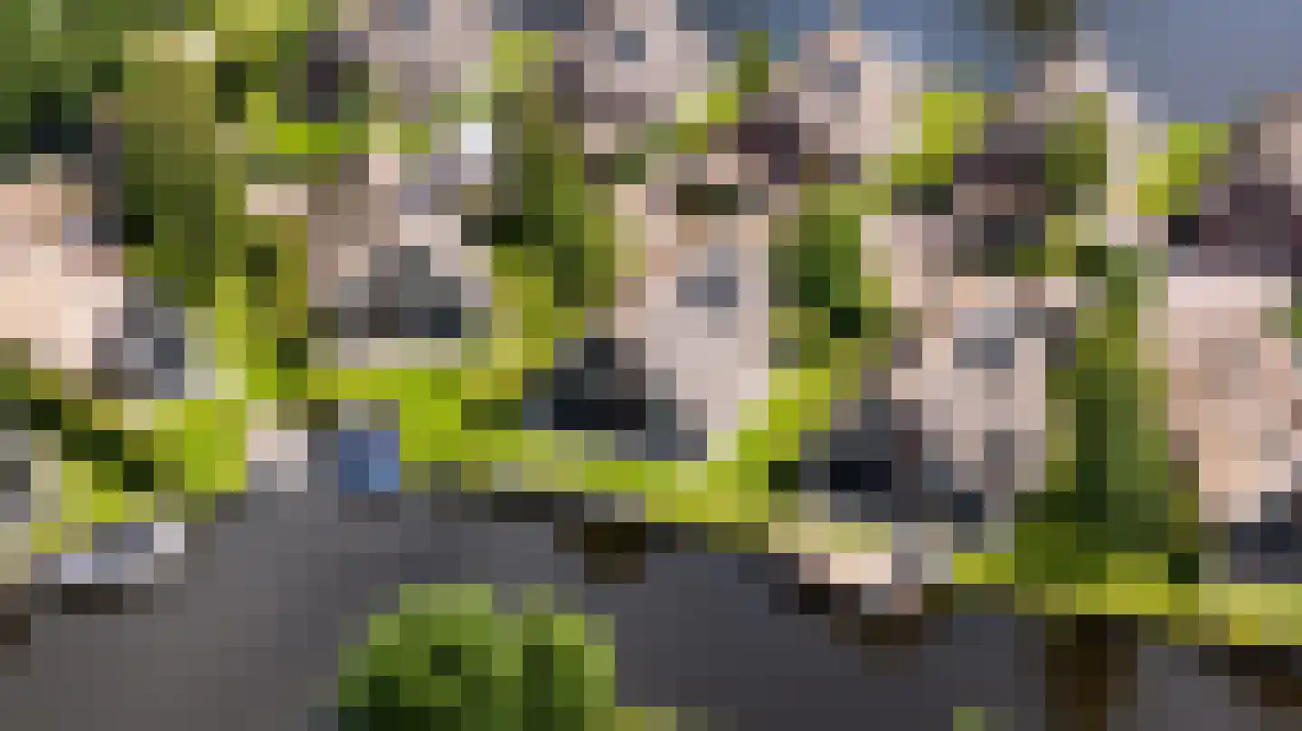 Skûtmakkerspôle 8 W9 Terkaple thumbnail 4