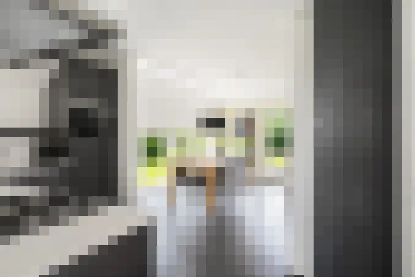 Skûtmakkerspôle 8 W9 Terkaple thumbnail 7