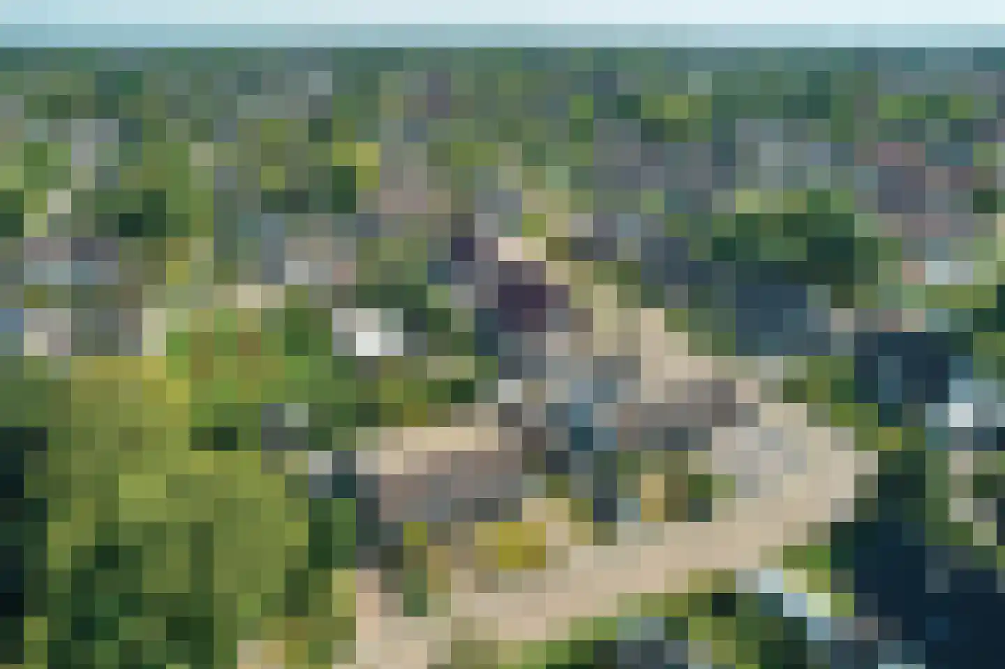 Skûtsje 1 Joure thumbnail 16