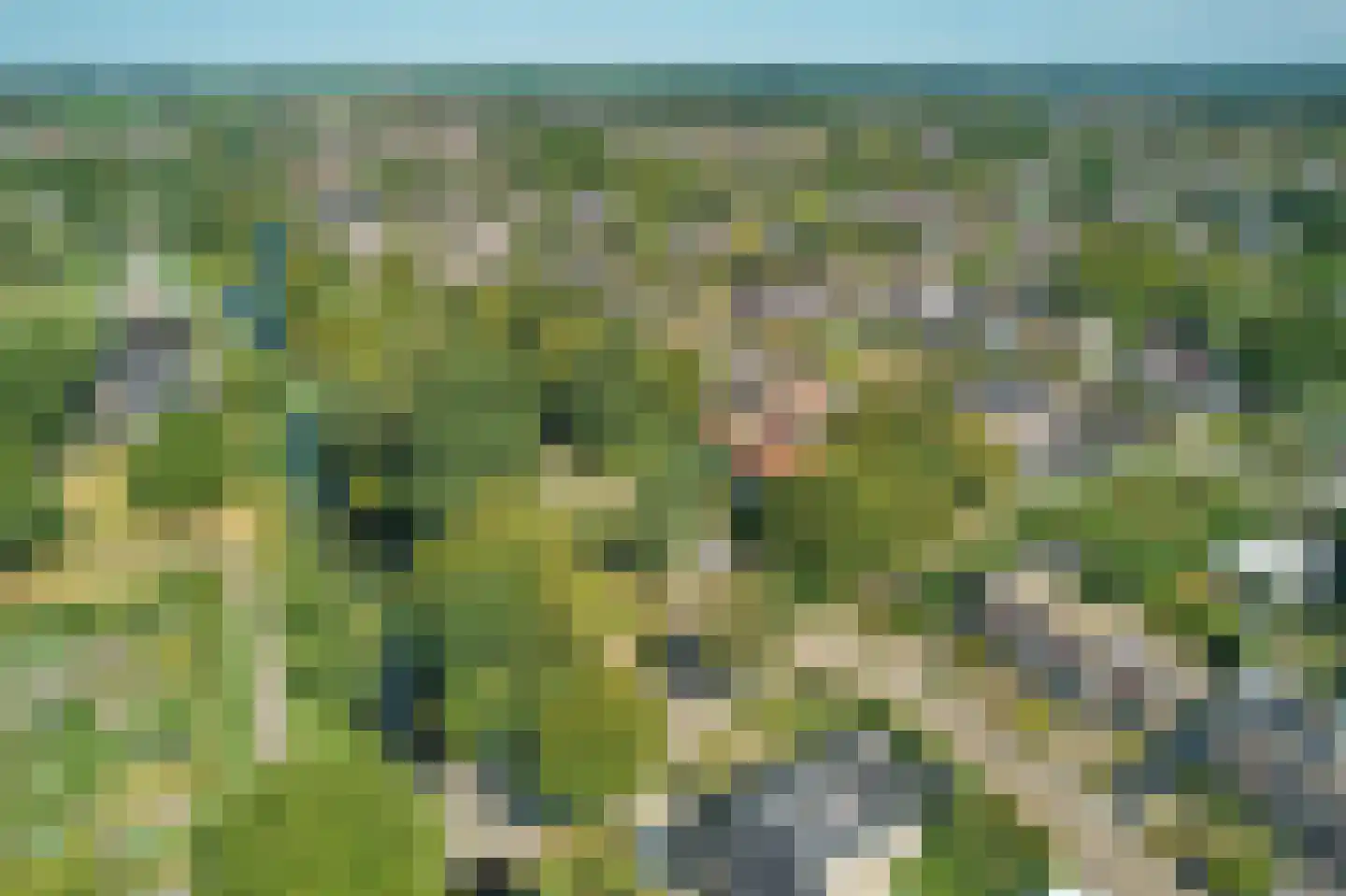 Skûtsje 1 Joure thumbnail 17