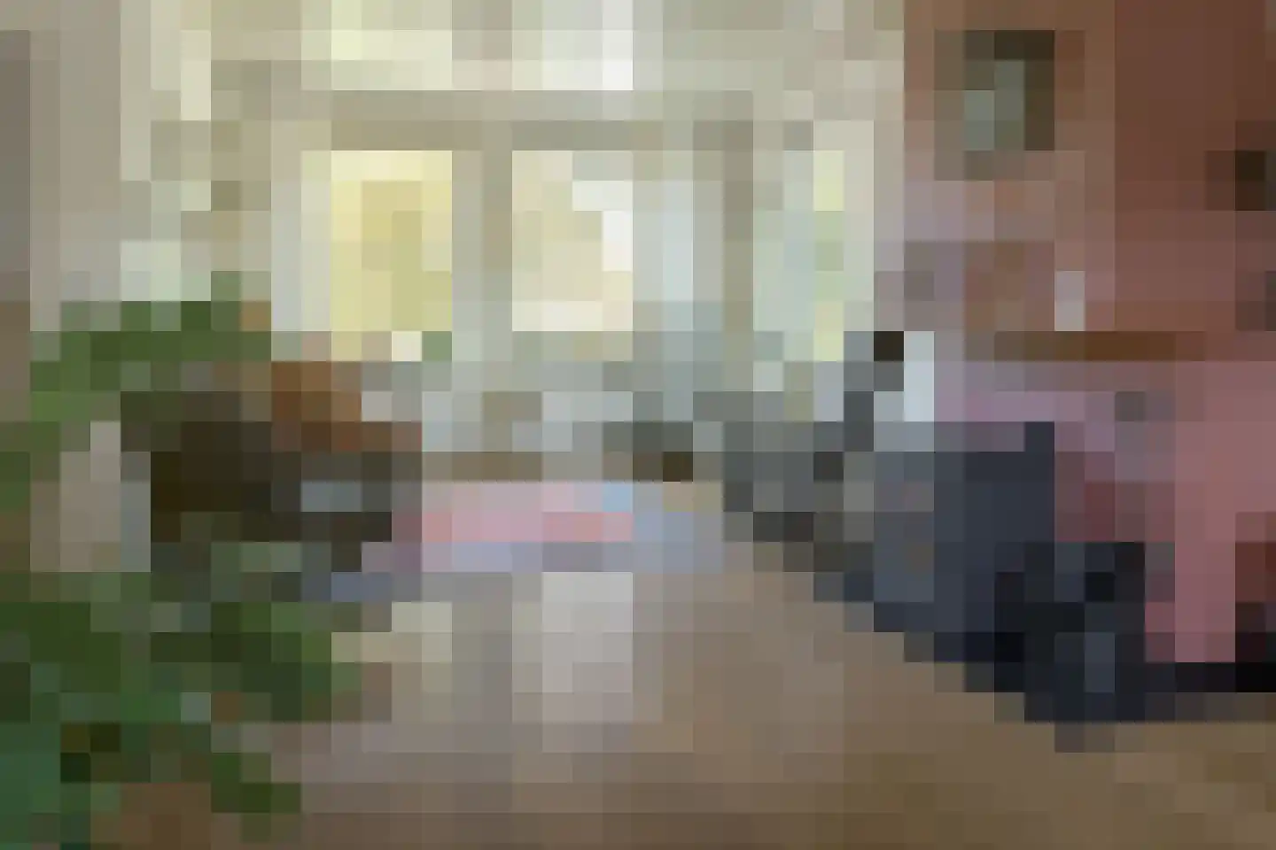 Skûtsje 1 Joure thumbnail 4