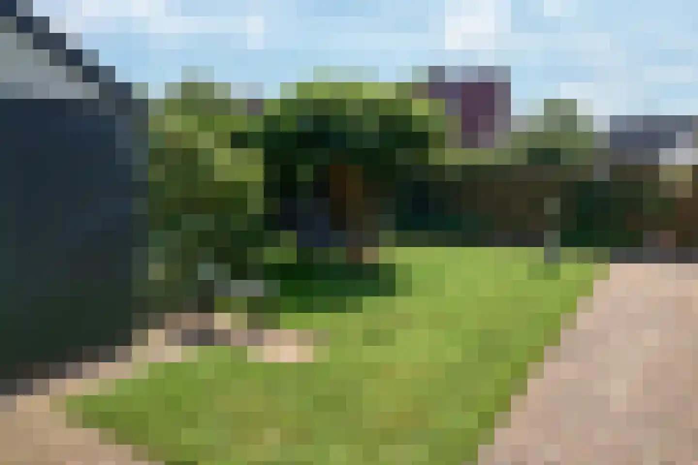 Skûtsje 1 Joure thumbnail 9