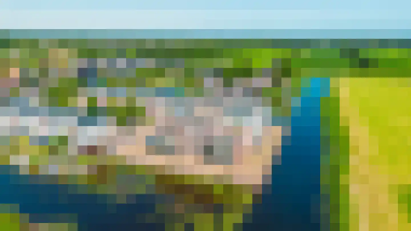 Skûtsje 100 Gorredijk thumbnail 12