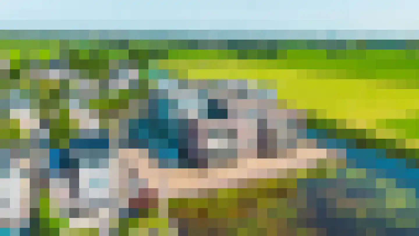 Skûtsje 100 Gorredijk thumbnail 13