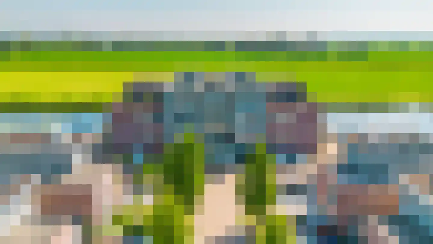 Skûtsje 100 Gorredijk thumbnail 14