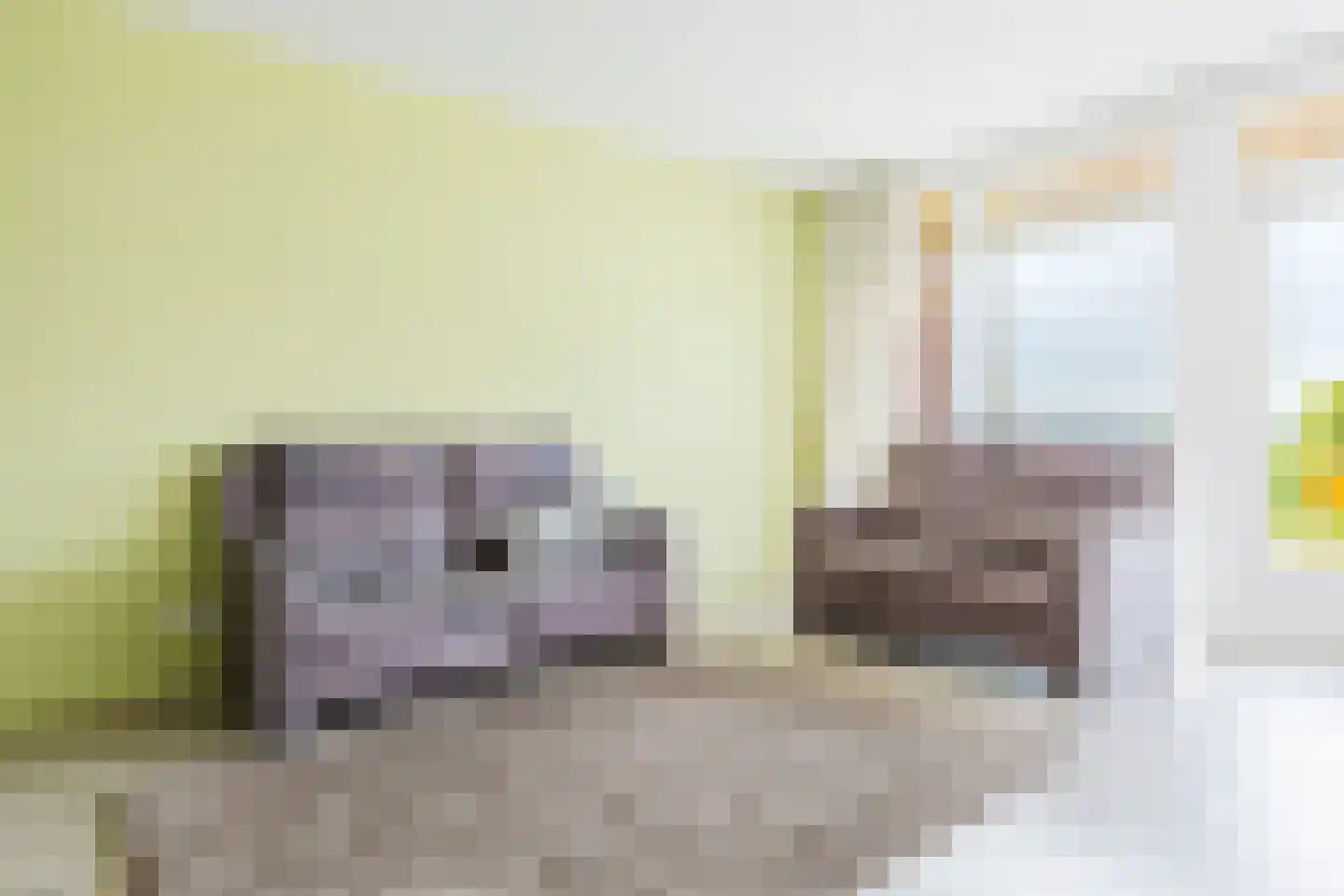 Skûtsje 100 Gorredijk thumbnail 23
