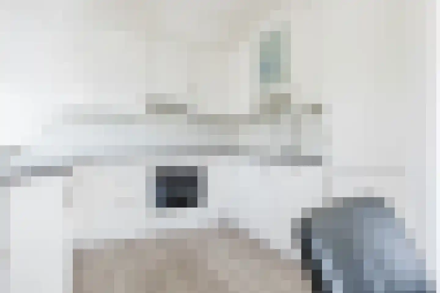 Skûtsje 100 Gorredijk thumbnail 26