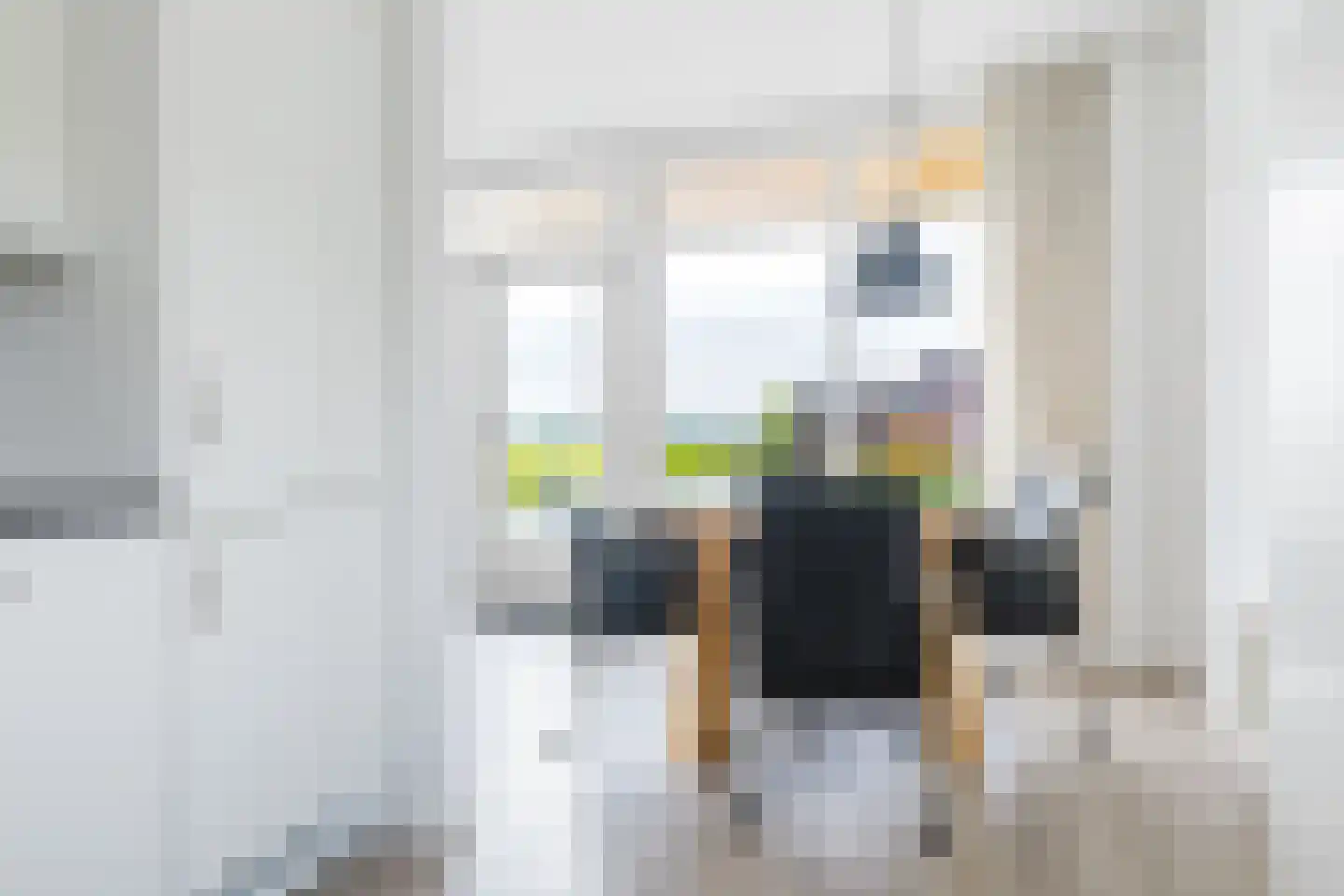 Skûtsje 100 Gorredijk thumbnail 27