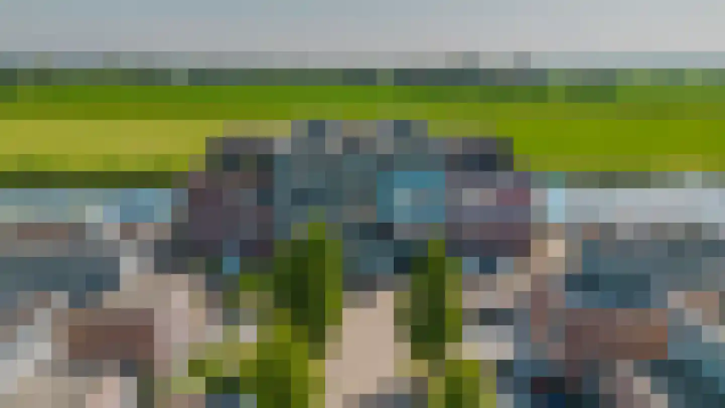 Skûtsje 100 Gorredijk thumbnail 7