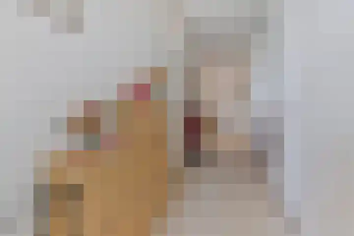 Skûtsje 104 Gorredijk thumbnail 27